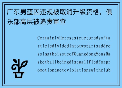 广东男篮因违规被取消升级资格，俱乐部高层被追责审查